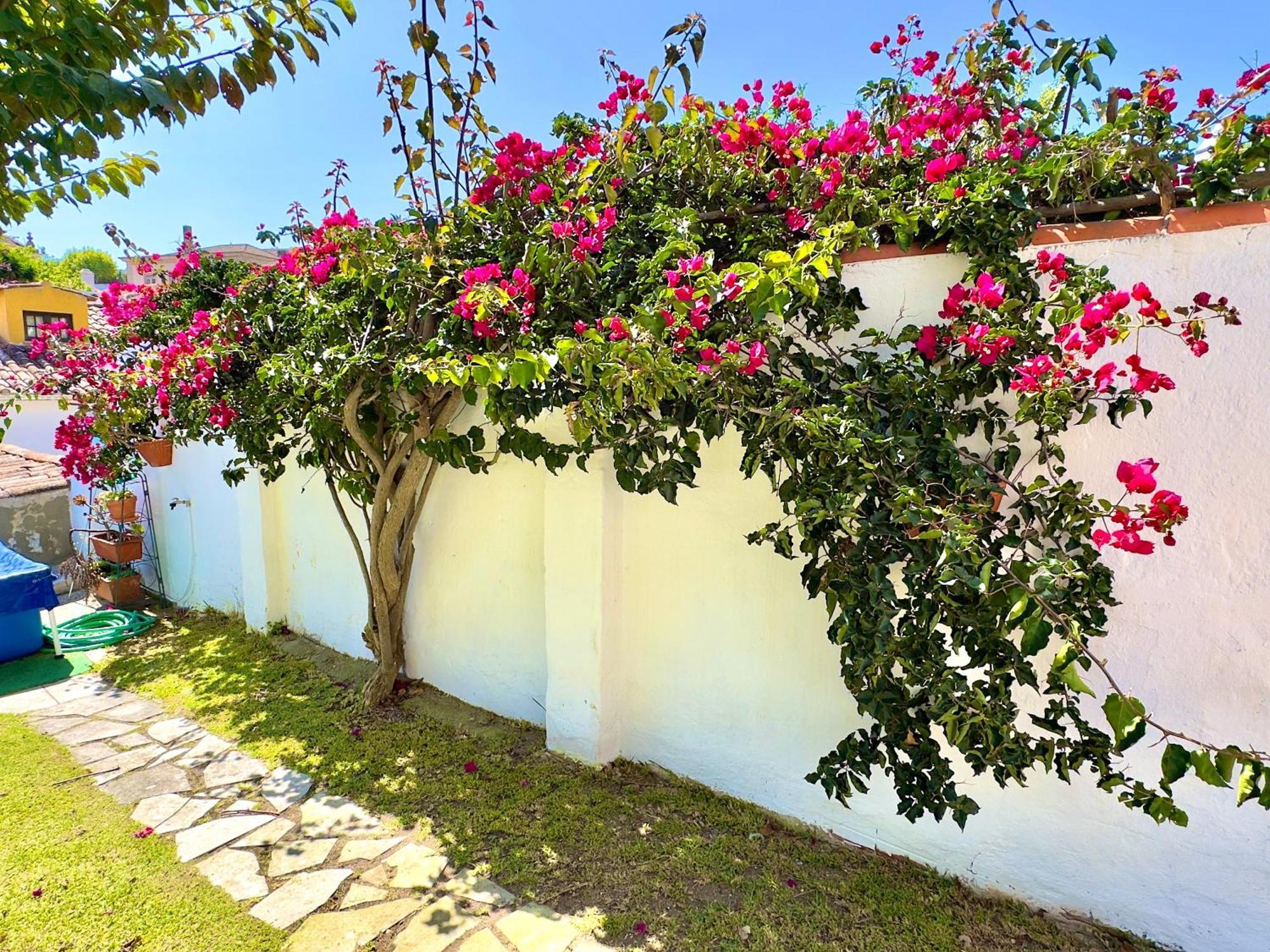 Casa Do Candeeiro Óbidos Exterior foto
